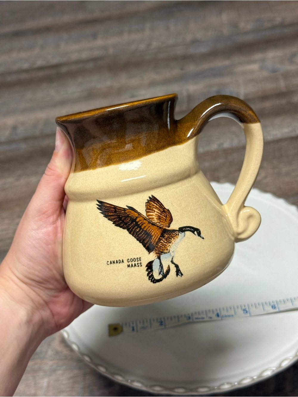 Canada Goose Brown and Cream Ceramic Pitcher with Flying Goose Motif